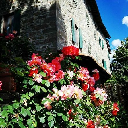 Podere I Rovai-Apt Il Rifugio- In The Heart Of Tuscany Reggello Eksteriør bilde