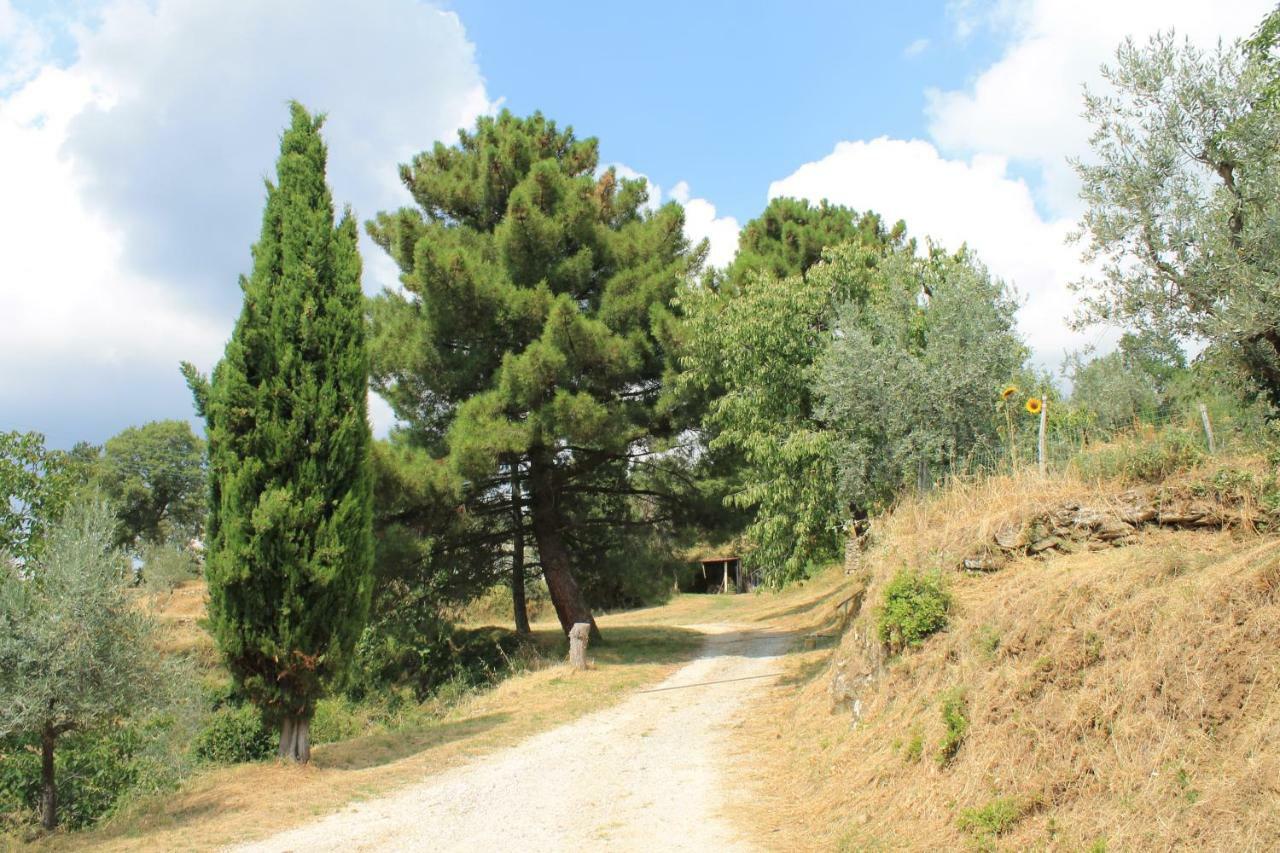 Podere I Rovai-Apt Il Rifugio- In The Heart Of Tuscany Reggello Eksteriør bilde